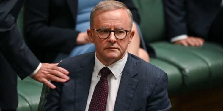 Labor government was warned price caps could affect investment Labor government was warned price caps could affect investment