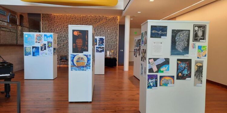 Space-themed owl art now on display at Winona County History Center