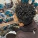 Schoolboy stabs classmate through the skull with a metal file after petty row at a school in Egypt Schoolboy stabs classmate through the skull with a metal file after petty row at a school in Egypt