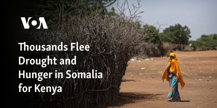 Thousands Flee Drought and Hunger in Somalia for Kenya