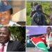 Jamhuri Day: List of Kenya’s Unsung Heroes and Heroines Jamhuri Day: List of Kenya’s Unsung Heroes and Heroines