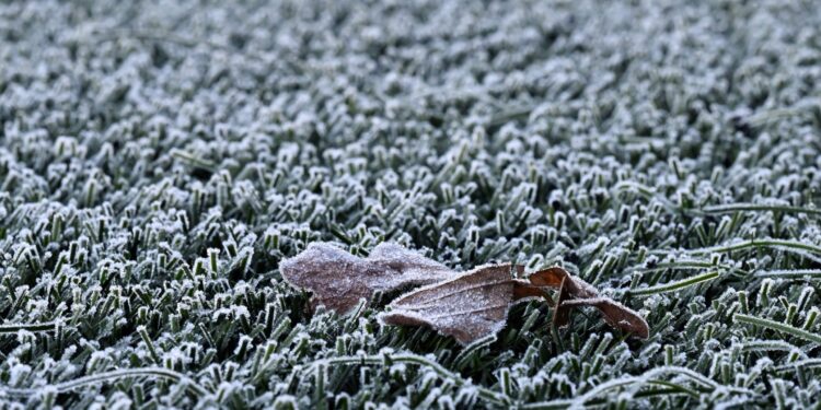 Luton-Millwall postponed due to frozen playing surface – South London News Luton-Millwall postponed due to frozen playing surface – South London News