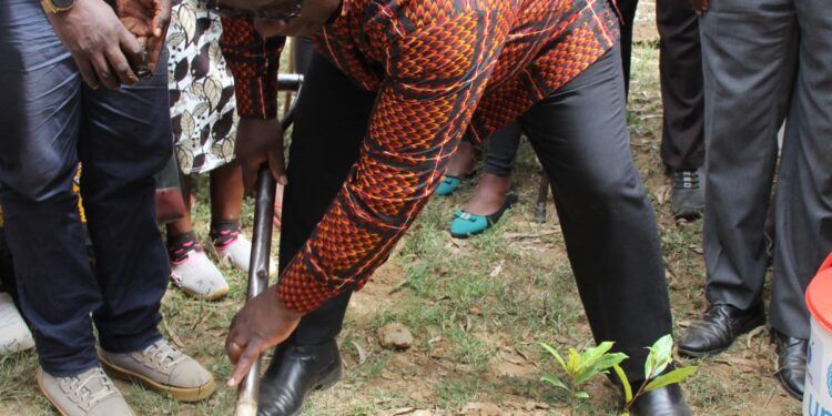 Nanyuki Residents Sensitized About Tree Planting. – Kenya News Agency