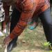 Nanyuki Residents Sensitized About Tree Planting. – Kenya News Agency