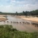 Zebras, elephants among hundreds of deaths in Kenya due to drought Zebras, elephants among hundreds of deaths in Kenya due to drought