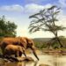 Game Parks in Kenya and Their Entrance Fees Game Parks in Kenya and Their Entrance Fees