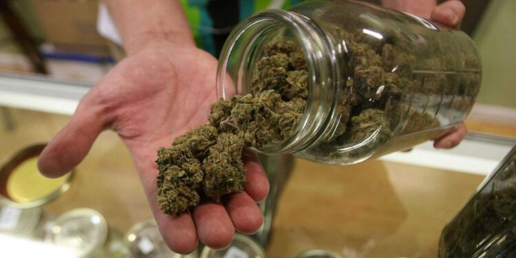 Some illegal cannabis shops operating in NYC are selling weed contaminated with salmonella and pesticides, survey says Some illegal cannabis shops operating in NYC are selling weed contaminated with salmonella and pesticides, survey says