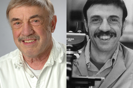 Biology Professor Reflects on Six Decades at Syracuse University Biology Professor Reflects on Six Decades at Syracuse University