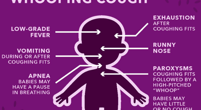 South Africa: Pertussis cases up, more than half in Western Cape Province South Africa: Pertussis cases up, more than half in Western Cape Province