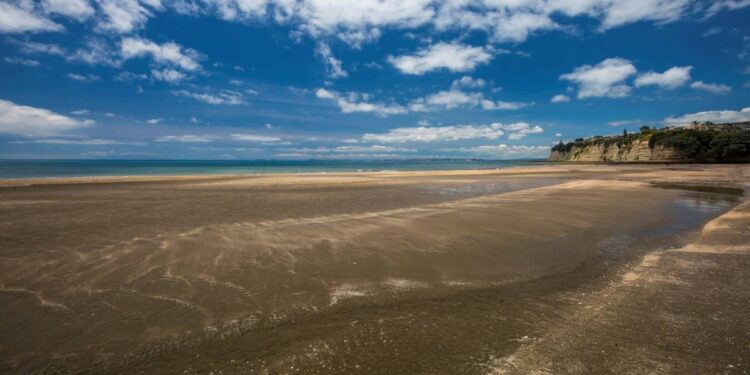 People turned away from popular Auckland beach as capacity reached People turned away from popular Auckland beach as capacity reached
