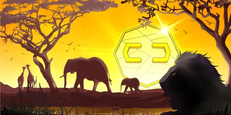 Bitcoin mining project in Kenya helps power rural community Bitcoin mining project in Kenya helps power rural community