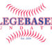 National College Baseball Hall of Fame announces 2022 Class National College Baseball Hall of Fame announces 2022 Class