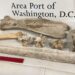 Virginia woman caught bringing giraffe, zebra bones back from trip to Africa: CBP Virginia woman caught bringing giraffe, zebra bones back from trip to Africa: CBP