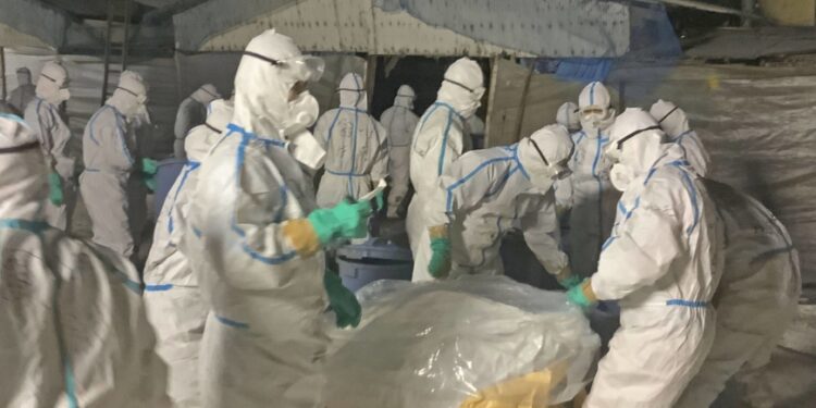 Government alerts farmers over sharp rise in bird flu cases Government alerts farmers over sharp rise in bird flu cases