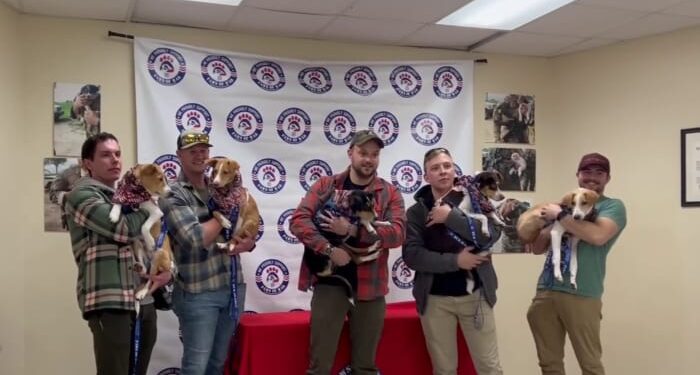 Local soldiers reunited with puppies saved in Kenya