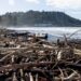 Wellington boy dies after injury at Gisborne’s Waikanae beach Wellington boy dies after injury at Gisborne’s Waikanae beach