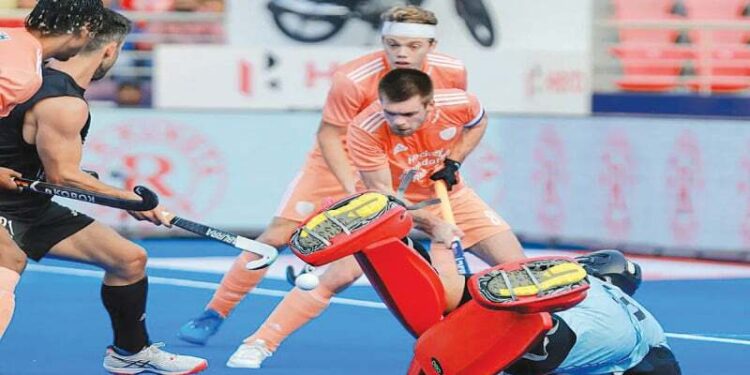 Argentina hold Aussies, Dutch blank New Zealand – Newspaper Argentina hold Aussies, Dutch blank New Zealand – Newspaper