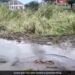 Old Video Shows Scary Sinkhole In Kenya Swallowing Everything In Its Path