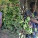 Former Classmates Rescue KCSE Top Candidate Found Living in Bush Former Classmates Rescue KCSE Top Candidate Found Living in Bush