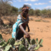 Laikipia women use cactus to generate biogas – Kenya News Agency Laikipia women use cactus to generate biogas – Kenya News Agency