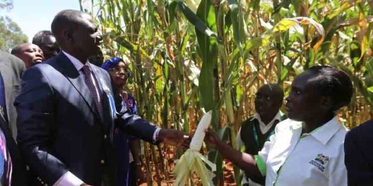 Germany to fund Kenya’s agricultural sector transformation