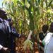 Germany to fund Kenya’s agricultural sector transformation