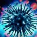 South Africa records outbreak of African swine fever South Africa records outbreak of African swine fever