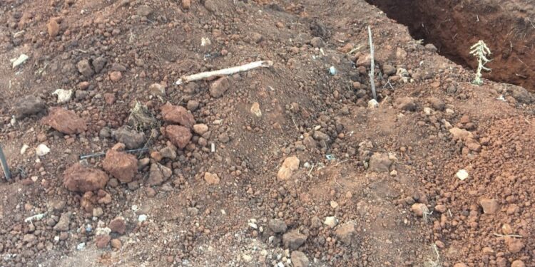 shock as man exhumes wife’s body to sell land – Kenya News Agency shock as man exhumes wife’s body to sell land – Kenya News Agency
