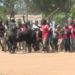 Government to Transfer Traditional Knowledge, Culture through Youth Champions – Kenya News Agency Government to Transfer Traditional Knowledge, Culture through Youth Champions – Kenya News Agency
