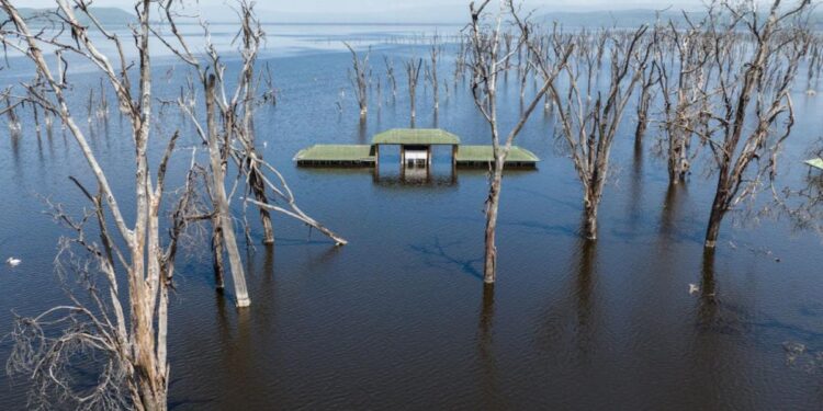 Kenya’s Rift Valley lakes are rising, putting thousands at risk – we now know why