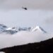 Forecaster warns over potential for severe avalanche season in B.C. Forecaster warns over potential for severe avalanche season in B.C.