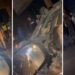 Truth Behind Car Falling From Nairobi Expressway Truth Behind Car Falling From Nairobi Expressway
