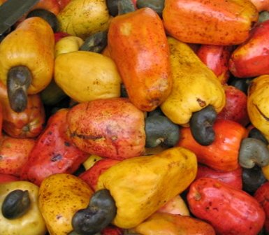 FG targets 0m revenues from cashew exports FG targets 0m revenues from cashew exports