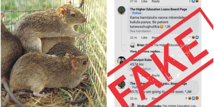 HELB Distances Itself from Facebook Page Telling University Students to Eat Rats