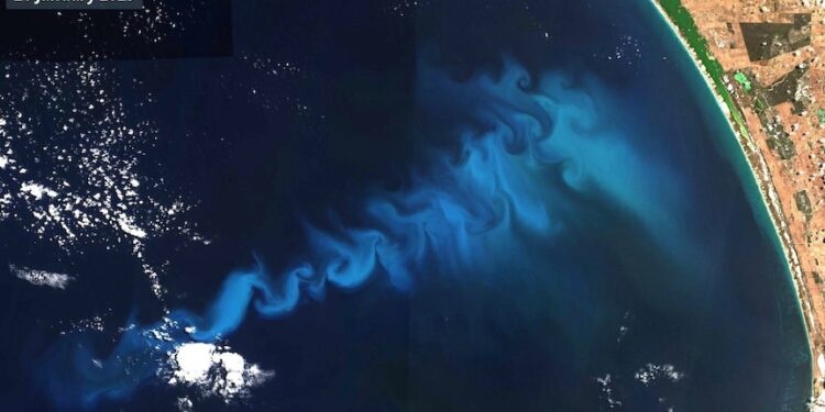 Colourful phytoplankton bloom grows off South Australian coast, providing food for ocean life Colourful phytoplankton bloom grows off South Australian coast, providing food for ocean life
