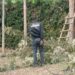 Kirinyaga: 60-Year-Old Man Dies from Electric Shock While Trimming Live Hedges and Trees Kirinyaga: 60-Year-Old Man Dies from Electric Shock While Trimming Live Hedges and Trees