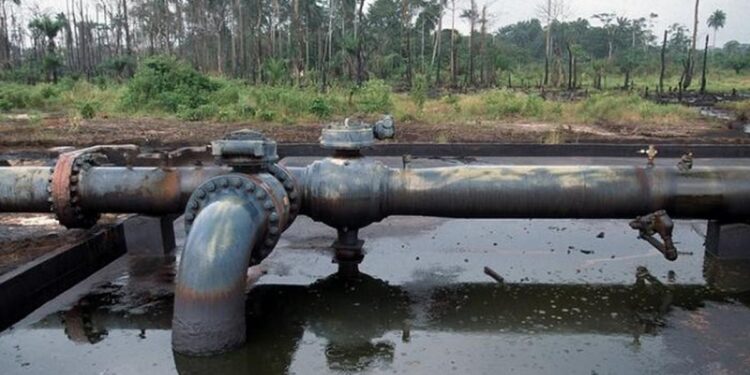 JUST IN: NNPC discovers oil in Nasarawa, drilling starts in March – Pulse Nigeria