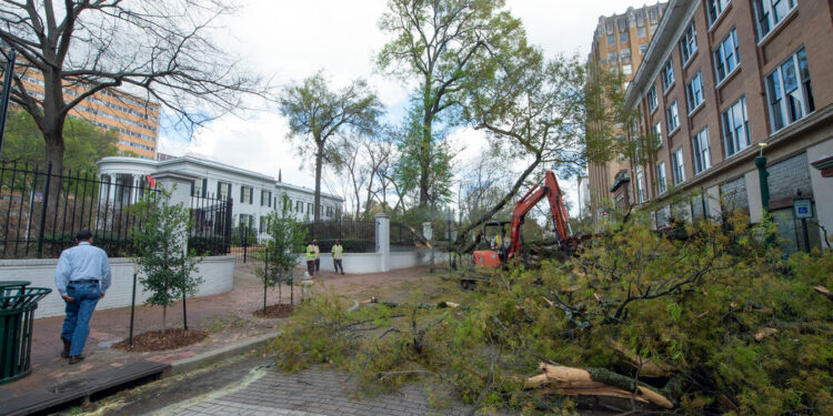 At Least 12 Dead After Storms Sweep the South